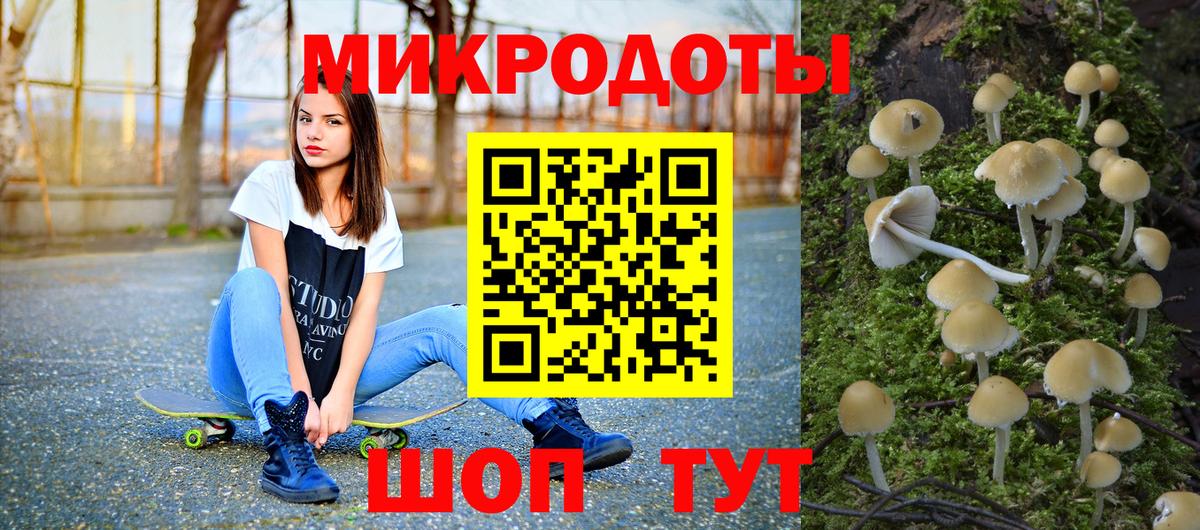 Зеленодольск  Псилоцибиновые грибы мицелий  Вход с VPN 