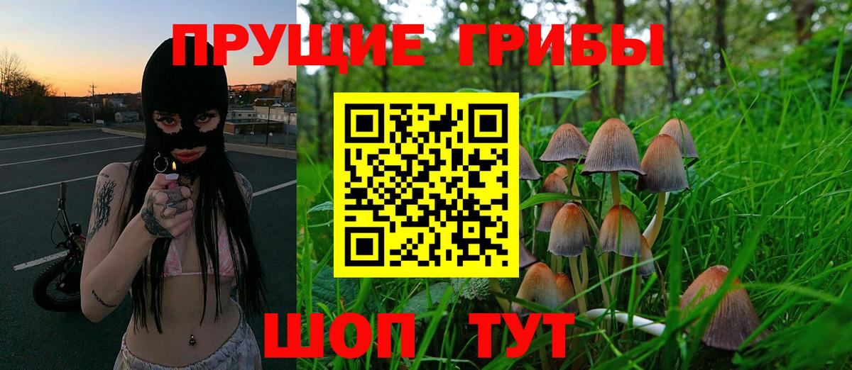 Галлюциногенные грибы MAGIC MUSHROOMS Зеленодольск