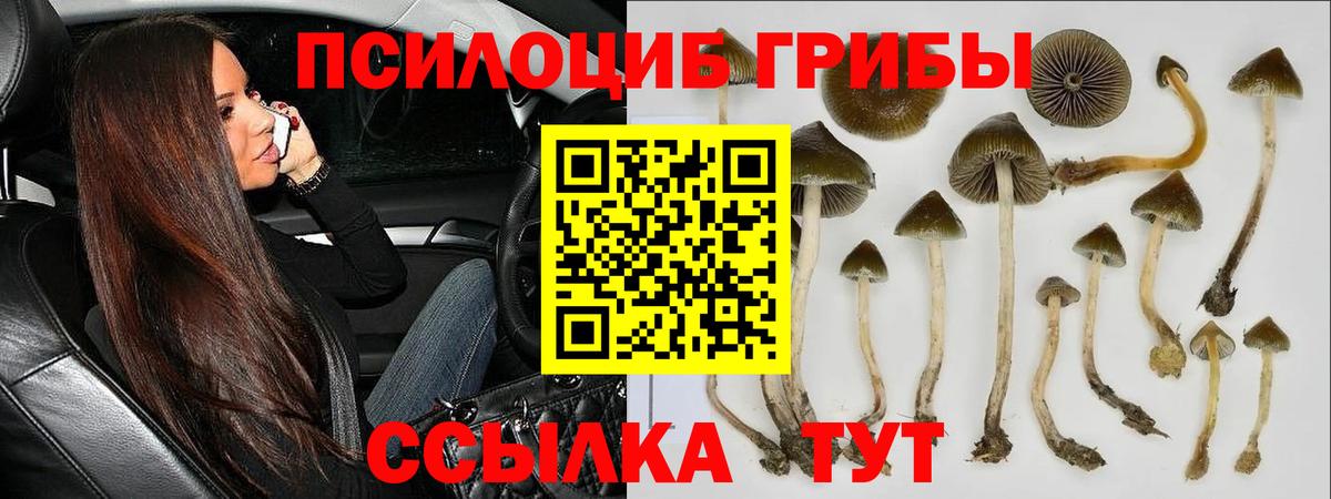 Зеленодольск  КОКАИН  МЕФ кристаллы  МЕТ  Вход с VPN  МЕФ  Каннабис 